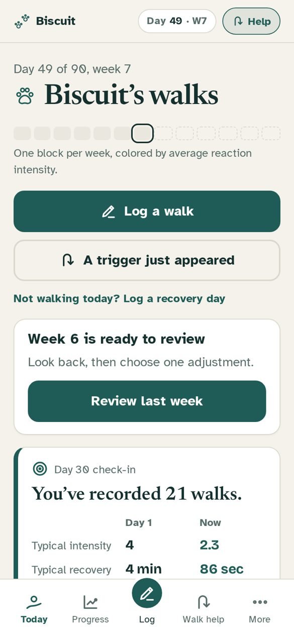 Steady Walks Today screen showing week 6 ready to review and a day 36 check-in with typical intensity and recovery.